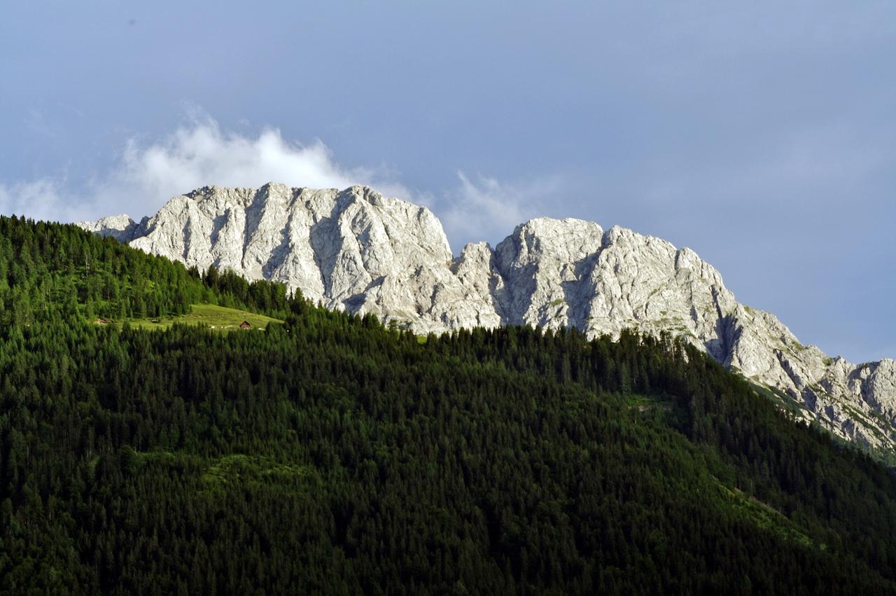 Waldpension Putz Berg im Drautal Zewnętrze zdjęcie